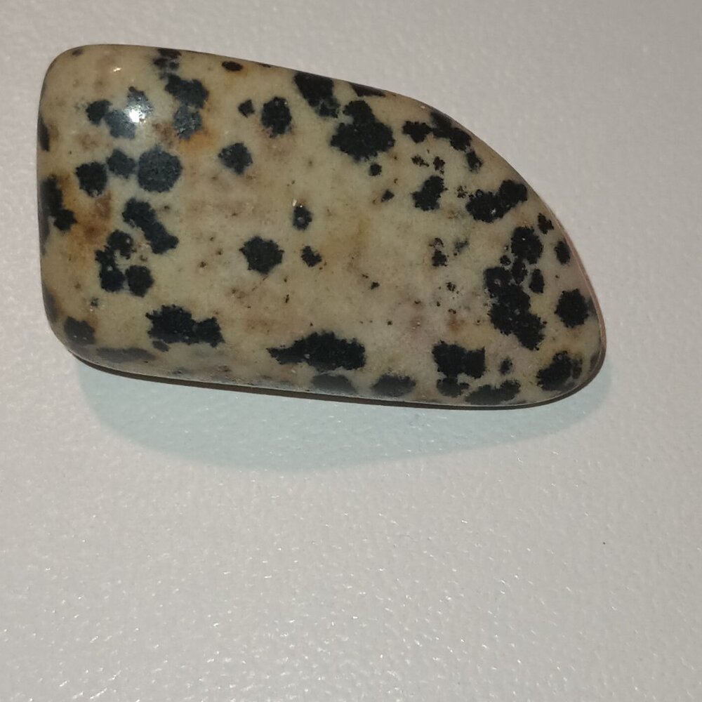 Dalmatian jasper